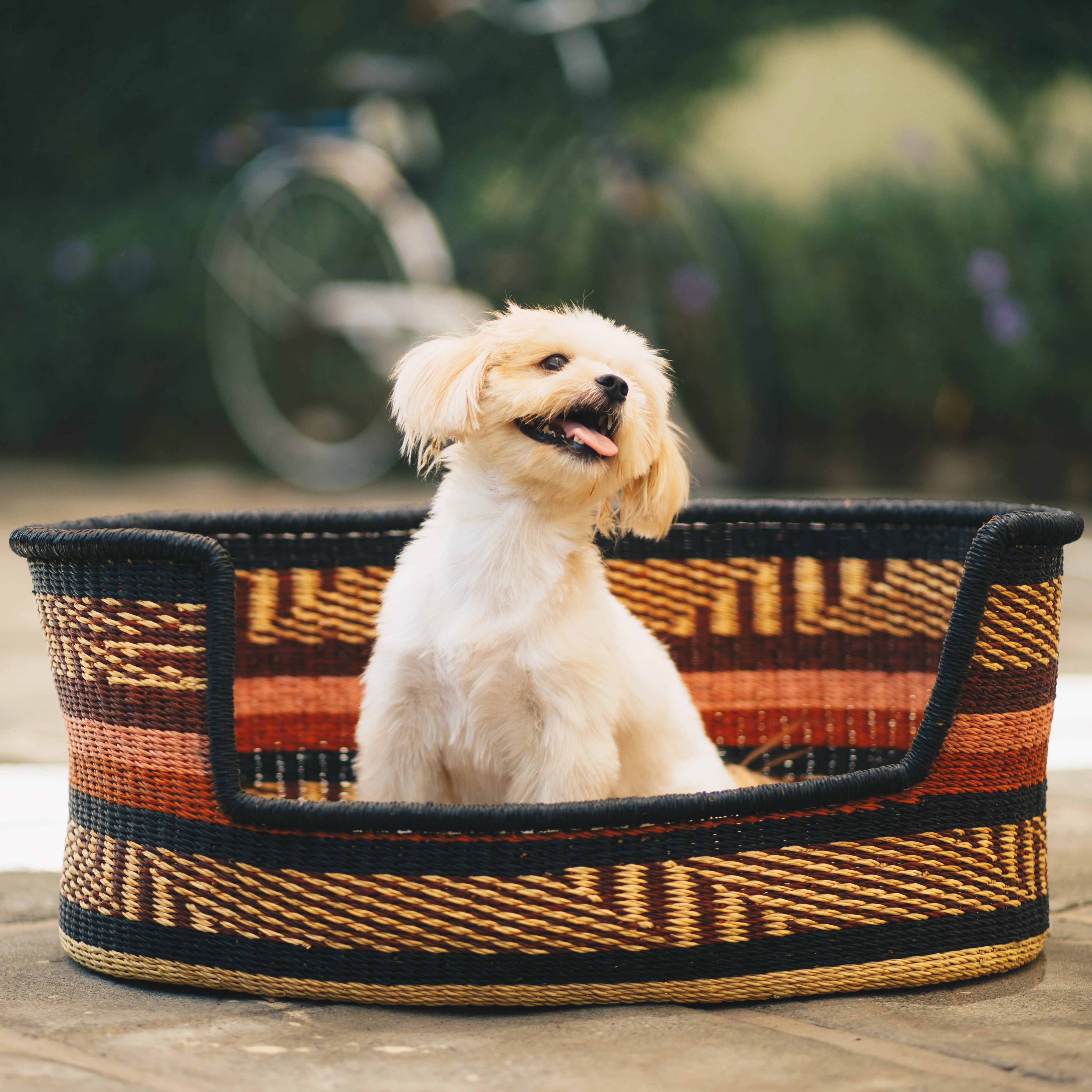 Two colorful Frafra dog baskets