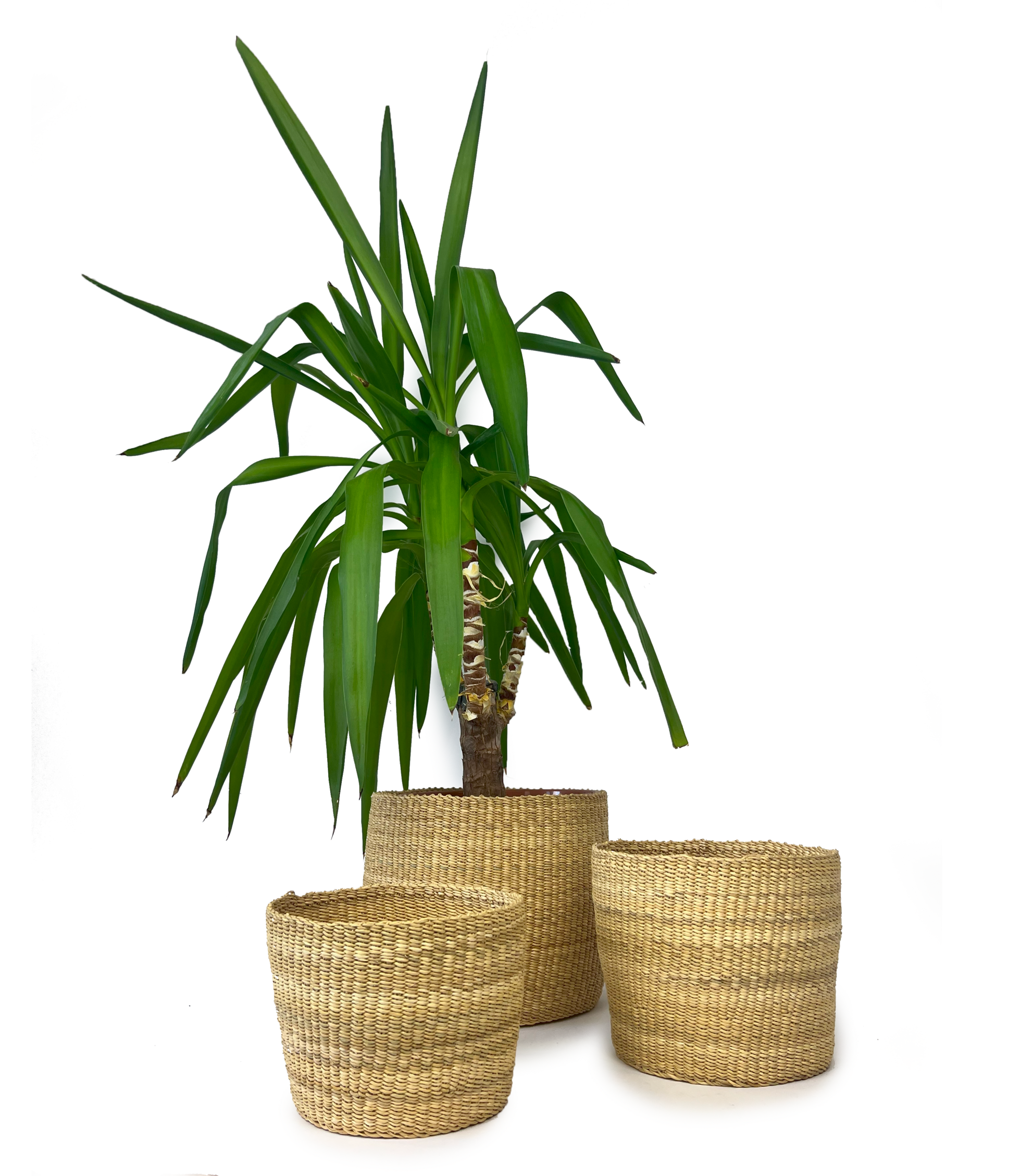 Bongo Planter Baskets